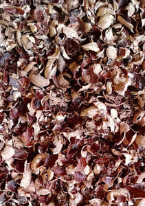 Cáscara de Anacardo de Primera Calidad para Energía de Biomasa y Combustible Industrial - Product Image 2