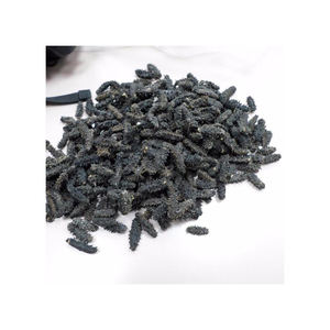 Nuevo Suministro de Fábrica, Polvo de Pepino de Mar de Bélgica, 24 Meses de Duración - Product Image 6