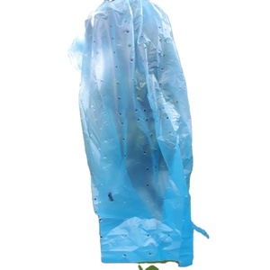 Housse en plastique thermoscellable réutilisable et écologique en PP non tissé pour la protection des fruits (bananes, tomates) dans les jardins d'hiver et l'agriculture - Product Image 5