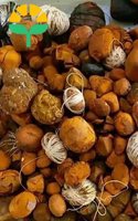 Extracto de cálculos biliares de buey y ganado natural de alta calidad con 3 años de vida útil para otros usos