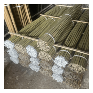 Proveedor Vietnamita de Varas de Bambú Duraderas para Jardinería, Paisajismo, Diseño de Interiores y Proyectos al Aire Libre - Product Image 1