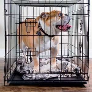 Fabbrica diretta grande gabbia per cani per interni all'aperto in legno e ferro canile piccola casa per gatti e animali domestici scatola imballata - Product Image 4