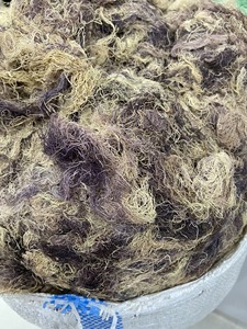 Alga Marina Vietnamita Cottonii Secada al Sol, Baja Humedad, Alta Calidad de Fibra, Apta para Producción Consistente de Carragenina y Pedidos de Exportación - Product Image 2