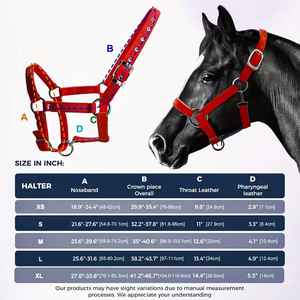 Licol de luxe pour cheval avec système de sécurité, en sangle de polypropylène rembourrée, avec placage en nickel perlé en alliage de zinc - Product Image 5
