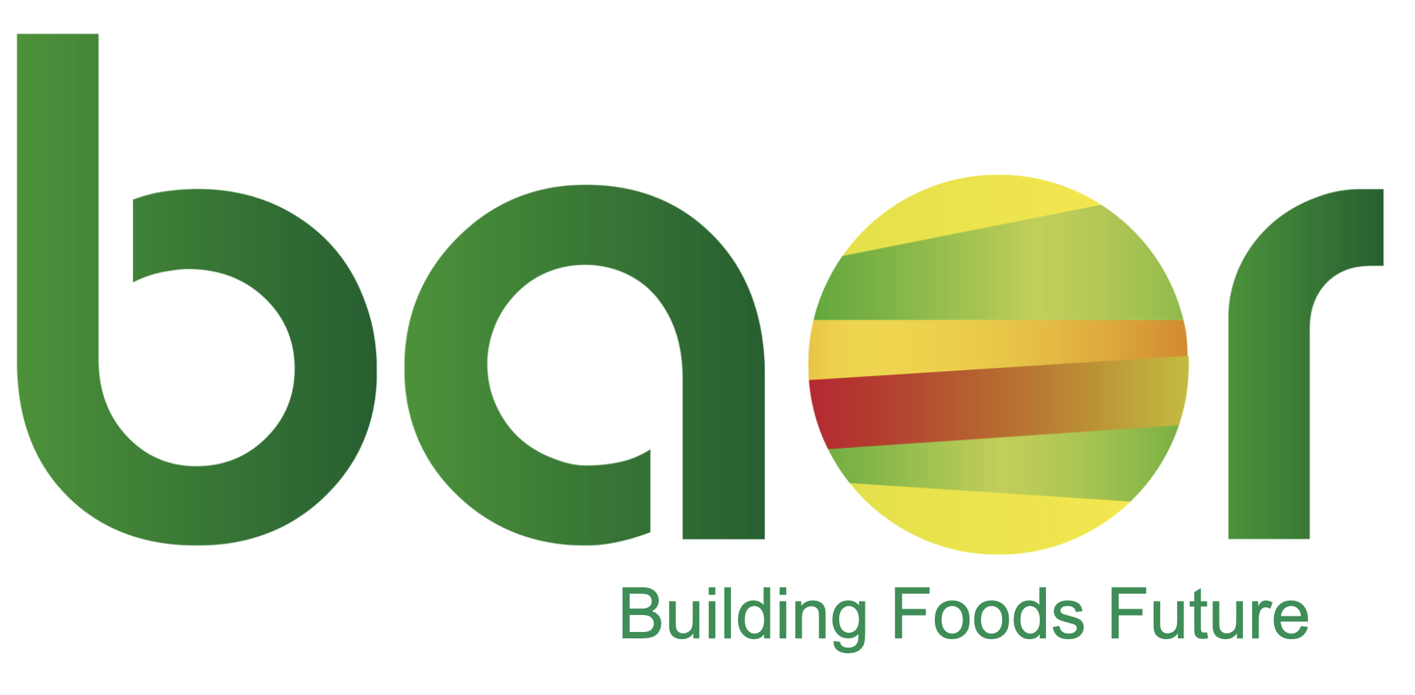 BAOR PRODUCTS S L logo