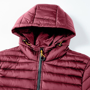 Manteaux bouffants vestes hiver en plein air vêtements pour hommes Streetwear haute qualité Designer marque doudoune hommes - Product Image 4