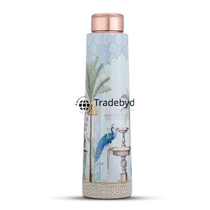 Classic Wide Copper Bottle All-Day Hydration Solution by Tradebyd Plastic Drinkware - Product Image 2