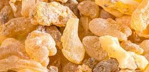 Suministro de fábrica Boswellia Serrata Extracto en polvo de resina de incienso cultivada en estado salvaje Extracto de hierbas de grado alimenticio en embalaje de tambor - Product Image 3