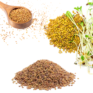 Alfalfa | Popular en los mercados de piensos de Oriente Medio y Asia - Product Image 3