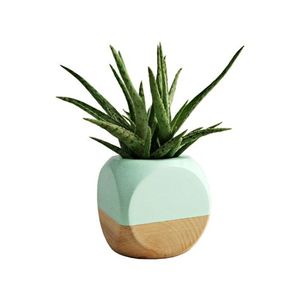 Nuevo Florero de Madera Hecho a Mano, Ecológico, de Diseño Moderno y Personalizable, en Forma de Cubo, para Interiores, Maceta Decorativa, Caja para Plantas, al Mejor Precio - Product Image 5