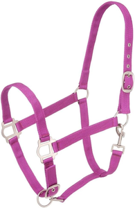 Nylon Horse Halter Padded Chin Throat Snap Hook Heavy Duty High Waist Waterproof Lightweight Breathable Features ODM Supply Logo - Product Image 5