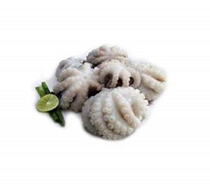 Vente en gros de poulpes bébés entiers frais congelés d'origine européenne, marque OEM, durée de conservation de 24 mois - Product Image 1