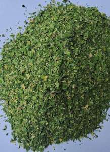 Poudre de Moringa Olifera directement des fermes, 100% poudre de feuilles, disponible en vrac, certifiée GMP - Product Image 4