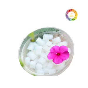 Pudín de coco natural 1KG Raw Nata De Coco Jugo de coco Jalea Fruta DE LA AGRICULTURA Vietnam-Ben Tre - Product Image 2