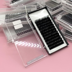 Precio barato Camellia Lash Fans Korean PBT Fiber Box 12 Line Stable Curl Handmade Wrap Lash Fans Mink Ultra Matte - Product Image 4