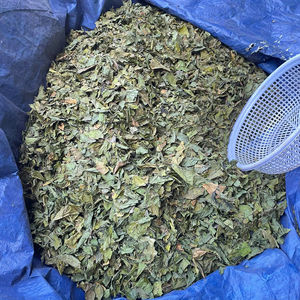 Feuilles de Noni séchées naturelles, ingrédient pour la fabrication de thé, les boissons et les mélanges à base de plantes - Product Image 5