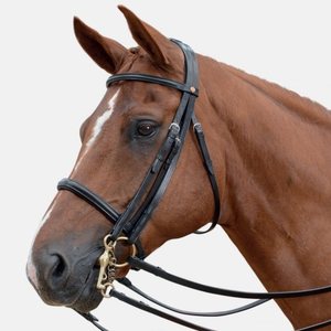 Stanford Custom Logo Anatomic Snaffle Bridle Western Style Horse Leather Headstall and Reins - Product Image 5