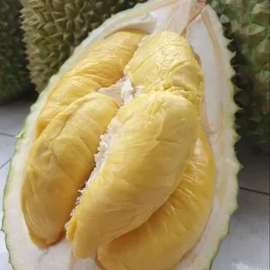 Good Price for Best Durian from Vietnam Brix > 30 Whole durian NO preservativesy