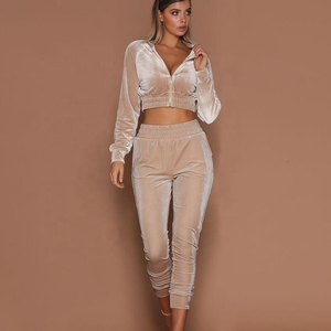 Wholesale High Quality Velvet Custom Zip <b>Hoodie</b> Joggers Two Piece <b>Velour</b> Tracksuit Women - Product Image 5