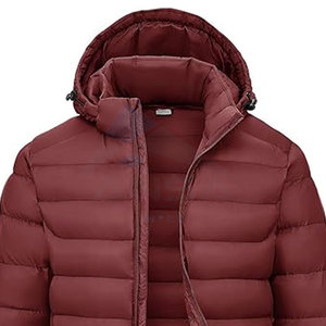 Veste à capuche pour hommes résistante à l'eau capuche détachable manteau d'hiver léger isolé poches poignets élastiques réglables - Product Image 2