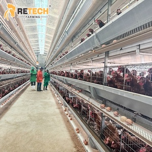 30000 lớp hiện đại gia cầm nhà thiết kế <span class=keywords><strong>h</strong></span> loại trứng đẻ gà pin lồng nuôi <span class=keywords><strong>h</strong></span>ệ thống với ánh sáng - Product Image 1