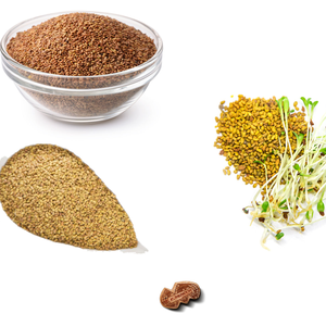 Alfalfa | Seleccionada por alta nutrición y alimentación fácil - Product Image 5