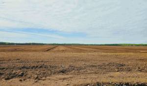 Support de culture de mousse de tourbe naturelle optimisé pour l'aménagement paysager professionnel Literie pour volailles de gazon de stade - Product Image 3