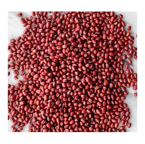 Haricots adzuki en gros, haricots de bambou, qualité d'exportation, pois rouge, petits haricots adzuki rouges à vendre - Product Image 3