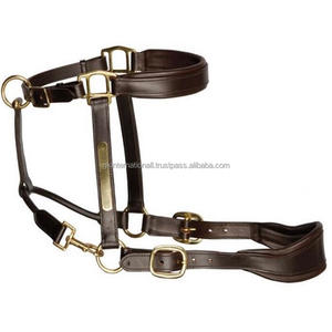 Licou de cheval en cuir rembourré souple à double pli durable et solide avec boucle et anneau en laiton à double couronne - Product Image 5