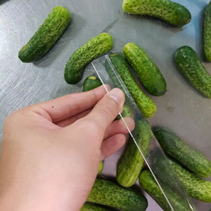 ¡SOLO EN VIETNAM! PEPINO CONSERVADO-PRODUCTO SALADO-ALIMENTO NUTRITIVO EN CADA COMIDA FAMILIAR LLEVAR EN VIAJES - Product Image 3