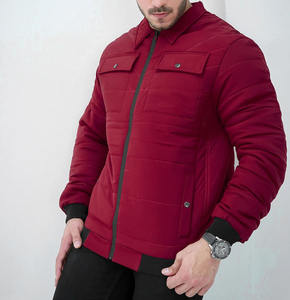 Pakistan Made Lightweight Canvas Stand Collar Hooded Bomber Puffer <b>Jacket</b> <b>Men</b> <b>Casual</b> Polyester Padded Winter Coat Low MOQ Coated - Product Image 4