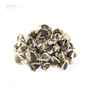 Graine de Moringa-oleifera séchée à prix compétitif Vente en gros de graines de Moringa séchées pour importateur en vrac - Product Image 5