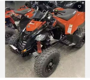 Liste des meilleurs 2024 -- Cann-Am DS 250 avec livraison anticipée porte-à-porte Support OEM personnalisé - Product Image 1