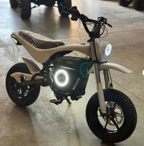 Vente en gros – Nouvelle moto électrique de qualité supérieure 2025 TT1600R 1600W PRÊTE À ÊTRE EXPÉDIÉE DANS LE MONDE ENTIER - Product Image 5