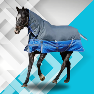 ที่โดดเด่นมืออาชีพขนาดกลางมาตรฐานม้าฤดูหนาวพรมแบบเทิร์นเอาท์ - Product Image 1