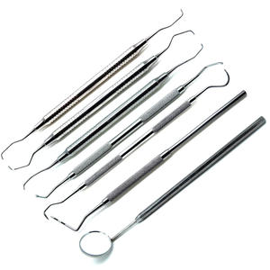 Bandeja de Profilaxis Dental Set de Instrumentos Premium de Acero Inoxidable de 7 Unidades - Product Image 2