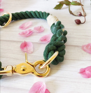Organic Cotton Rope Dog <b>Leash</b> <b>Pet</b> Supplies Accessory Customized Colored Cotton Rope Handmade Dog <b>Leash</b> <b>Pet</b> <b>Leash</b> Set - Product Image 2
