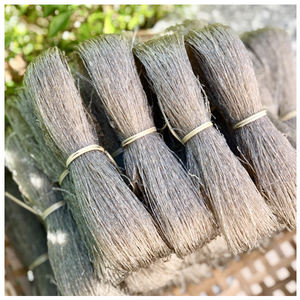 El mejor proveedor Vietnam Arrowroot Vermicelli Noodle/ Vietnam Steamed Vermicelli Roll con alta calidad - Product Image 1