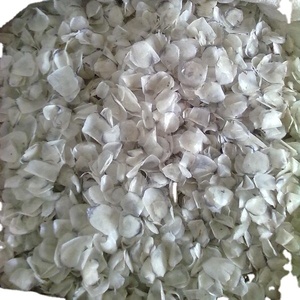 เกล็ดปลาทำความสะอาดคุณภาพสูงจำนวนมากส่งออกในราคาที่แข่งขันได้ - Product Image 1