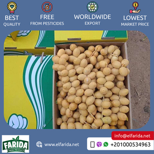 Tốt nhất mua số lượng lớn số lượng cung cấp chất lượng tốt Ai Cập ngọt ngào và ngon hương vị tươ<span class=keywords><strong>i</strong></span> barhi ngày/berhi ngày ở mức giá thấp - Product Image 4