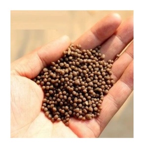 Phosphate de diammonium (DAP) haute pureté 18-46-0, engrais hydrosoluble pour l'agriculture, qualité industrielle, offre à bas prix - Product Image 4
