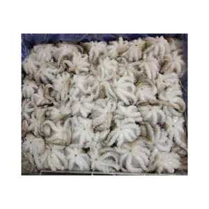 Factory wholesale frozen octopus for sale,seafood octopus,baby octopus Wholesale Clean Fresh Whole High Quality Baby Octopus Sea