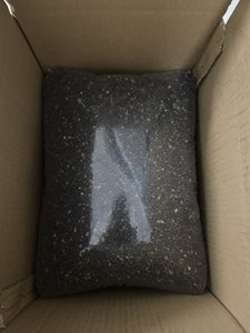 Semilla de papaya de alta calidad utilizada para cadenas de suministro de cosméticos, fabricación de jabón y extracción de aceite para el cuidado de la piel de Vietnam - Product Image 4