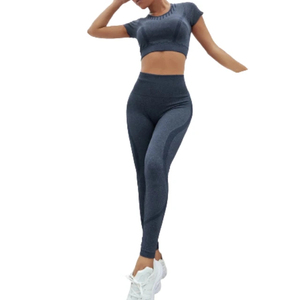 Women's 2 Piece Yoga Set High Waist <b>Seamless</b> <b>Leggings</b> Crop Top Solid Color Full Length Workout Fitness Outfit Spandex Polyester - Product Image 1