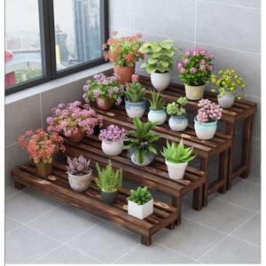 Multifunctional Durable Handmade Modern 4-Tier Buffalo Bone Photo <b>Frame</b> for <b>Plants</b> Display Outdoor and Indoor Home Decor - Product Image 1