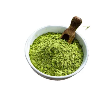 印度批发价格的天然干菠菜提取物粉和其他草药提取物粉