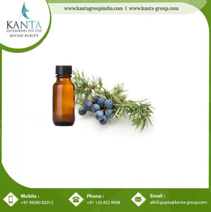 Aceite Esencial de Bayas de Enebro de Buena Calidad a Precio de Mayoreo para Aromaterapia al Mejor Precio de un Proveedor Indio - Product Image 3