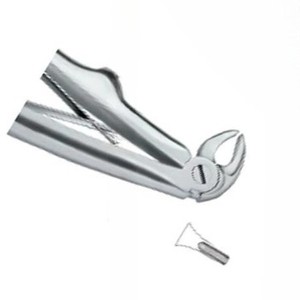Forceps d'extraction dentaire Fig.137, manuel, haute qualité, logo personnalisé, instruments dentaires en acier inoxydable, certifié CE, Nawaz Surgical - Product Image 4