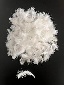 B2B Export Quality Dyed Duck Feather for Home Textiles Garments Toy Industries - Product Image 6