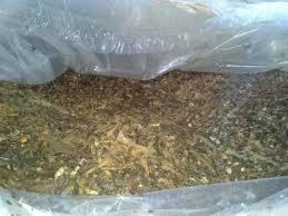 Comprimés d'ensilage de maïs pour bétail - Product Image 2